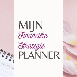 Financiële Strategie-planner NIEUW